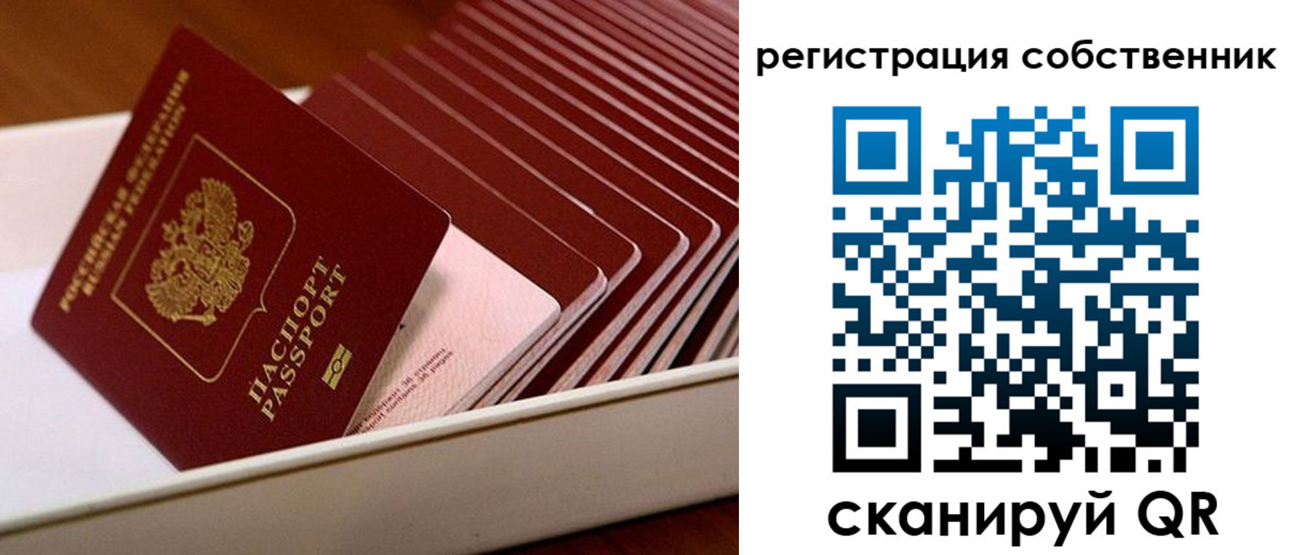 прописка законно в Братске